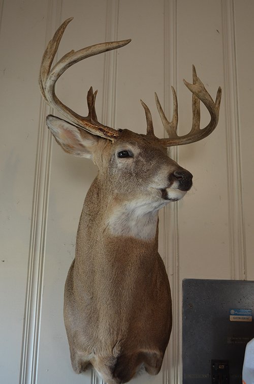 Property photo 191 - REAL ESTATE & PERSONAL PROPERTY AUCTION, 140 Acres offered in 8 Tracts or Combinations in Steuben County